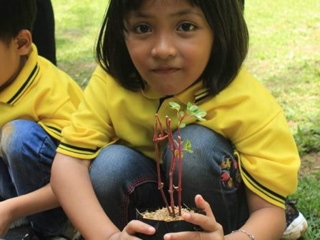 outbound anak wisata agro